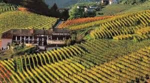 Confagricoltura chiede la riduzione di Imu e Tari per gli agriturismo piemontesi