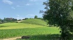 Coldiretti Asti: Per una vera ripartenza economica serve più sostegno al settore agricolo Coldiretti Asti: Per una vera ripartenza economica serve più sostegno al settore agricolo