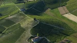 Innovazione tra i campi, Confagricoltura premia a Roma due imprese piemontesi Innovazione tra i campi, Confagricoltura premia a Roma due imprese piemontesi