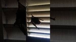 Immagine di repertorio Immagine di repertorio