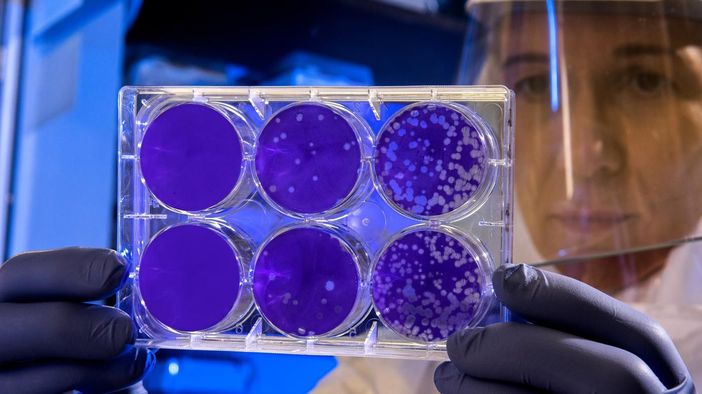 Effetto Coronavirus sull'economia piemontese: l'artigianato parte bene, ma teme contraccolpi. E anche Confindustria trema