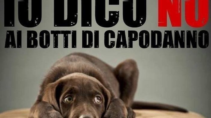 Il Comune di Castelnuovo Belbo vieta i botti di Capodanno su tutto il territorio comunale e nelle frazioni
