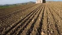 Confagricoltura Piemonte interviene sulla nuova legge sul riordino delle norme in agricoltura