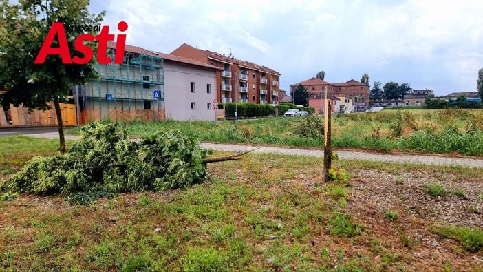 Una foto dei danni del temporale di domenica scorsa Una foto dei danni del temporale di domenica scorsa