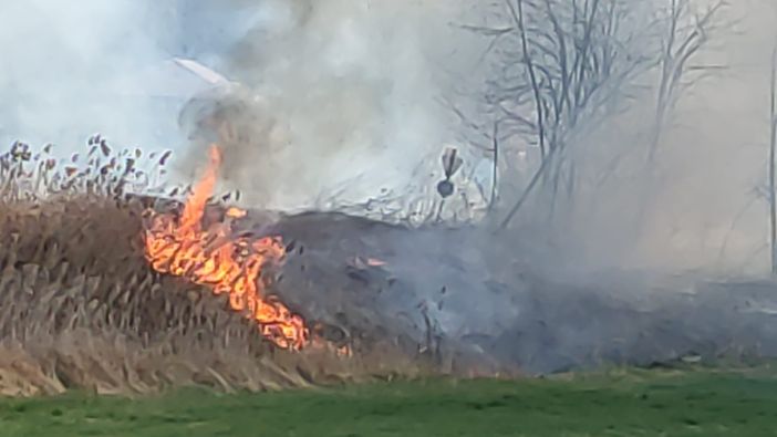 Immagini originariamente postate in alcuni gruppi Facebook locali