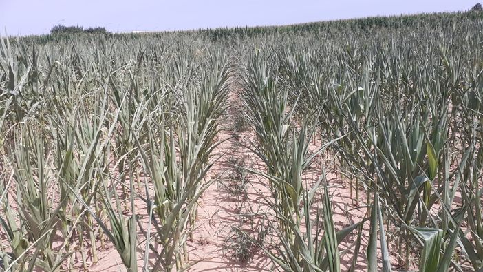 Siccità: semplificare per velocizzare gli interventi idrici sul Pnrr Siccità: semplificare per velocizzare gli interventi idrici sul Pnrr