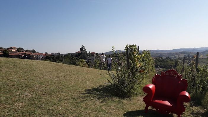La Via del miele porta l’Astigiano in Rai, questa sera alle 20 al Tg1