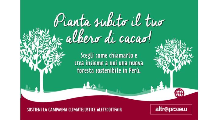 A Natale regala un albero di cacao. Adottandolo si contribuirà alla nascita di una foresta