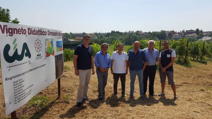 Vitigni resistenti: l'innovazione in agricoltura al centro della Festicamp Cia Asti 2019