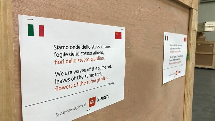 Viviamo in un posto bellissimo:  fiori dello stesso giardino