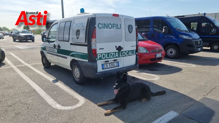Esercitazione congiunta dei reparti cinofili questa mattina al parcheggio del Borgo Esercitazione congiunta dei reparti cinofili questa mattina al parcheggio del Borgo
