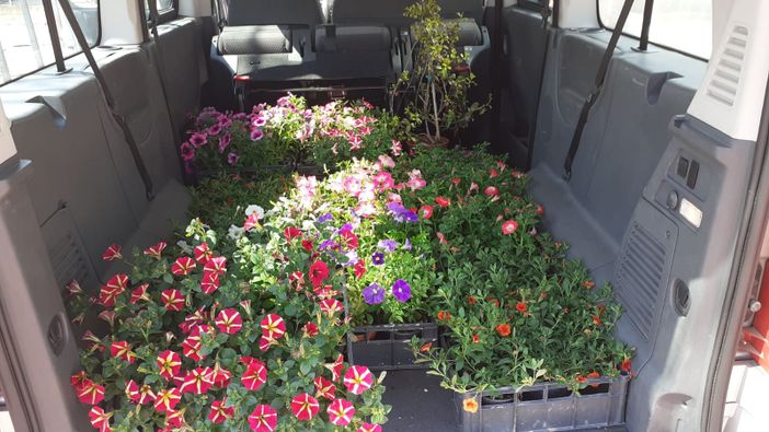 Fiori per la Casa di Riposo Città di Asti dall'associazione "Sole che sorgi" Fiori per la Casa di Riposo Città di Asti dall'associazione "Sole che sorgi"