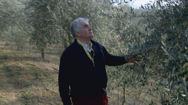 Da Patro, l’olio extra-vergine di oliva del Monferrato nelle tavole internazionali