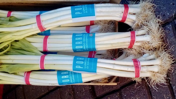 Mostra Mercato del Porro lungo e dolce di Carmagnola: tradizione, gusto e orgoglio piemontese