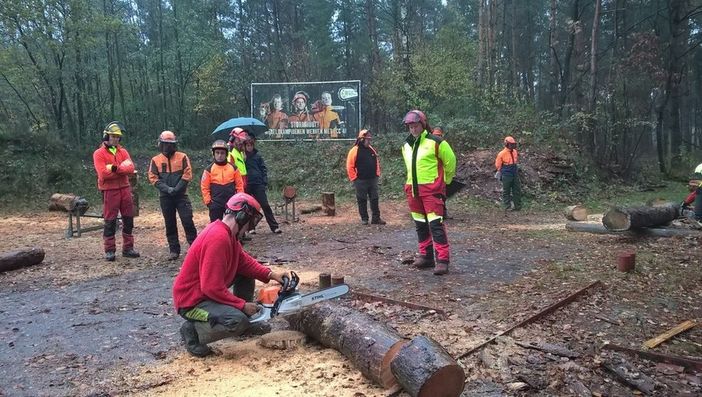 Operai forestali al lavoro