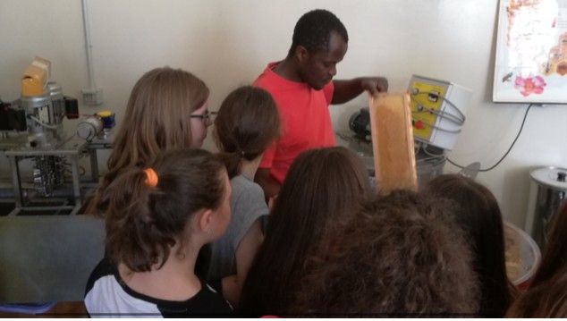 Il Laboratorio delle Api di Takumbo Takam Paulin – Az. Agricola Polyagrinova (Miele Bio)