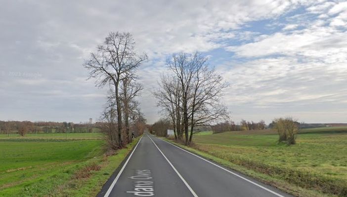 Un tratto della provinciale tra Castello di Annone e Quattordio