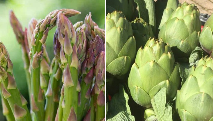 Asparagi Saraceni di Vinchio e Carciofi della Valtiglione