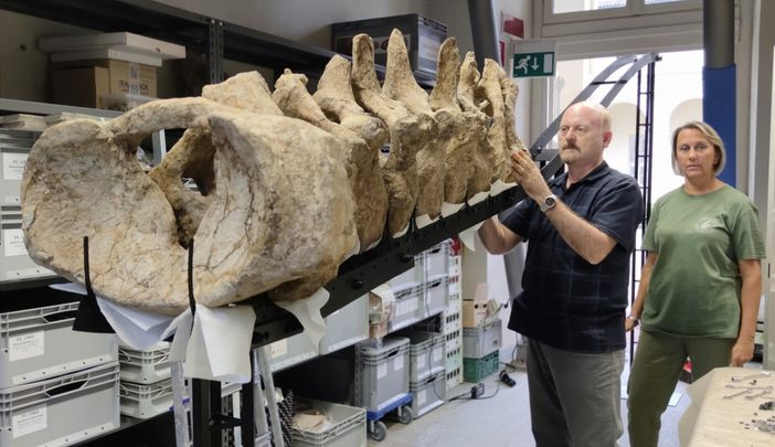 Il Museo Paleontologico Astigiano si appresta a ospitare una nuova, imperdibile mostra Il Museo Paleontologico Astigiano si appresta a ospitare una nuova, imperdibile mostra