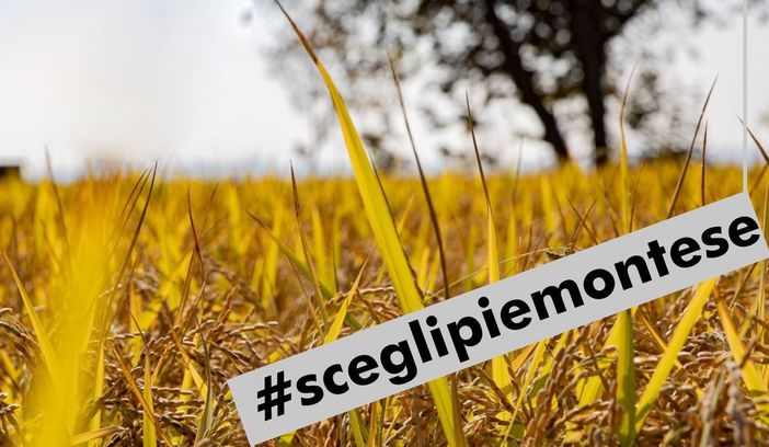 La Regione promuove aziende agricole e prodotti agroalimentari made in Piemonte La Regione promuove aziende agricole e prodotti agroalimentari made in Piemonte