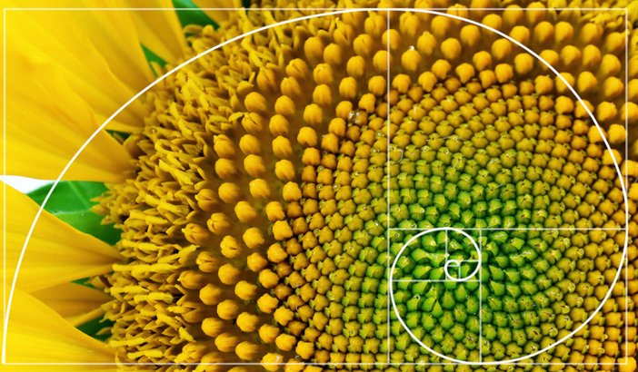 Al via un corso in progettazione e designer in Permacultura per le Valli Belbo e Bormida