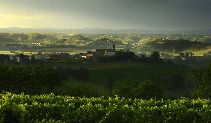 Estate nell'Astigiano ripresa dal grande Enzo Isaia