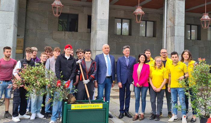 Otto fioriere di 'photinie' donate alla Prefettura da Coldiretti Asti