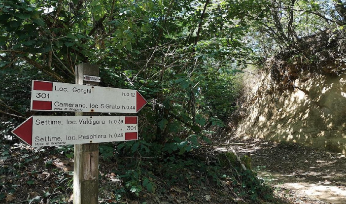 La locandina dell'appuntamento in programma domenica