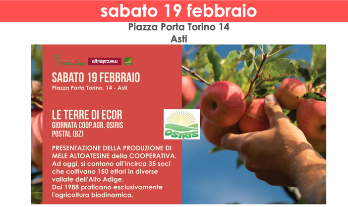 Prosegue con numerose iniziative e proposte il febbraio targato Rava e Fava