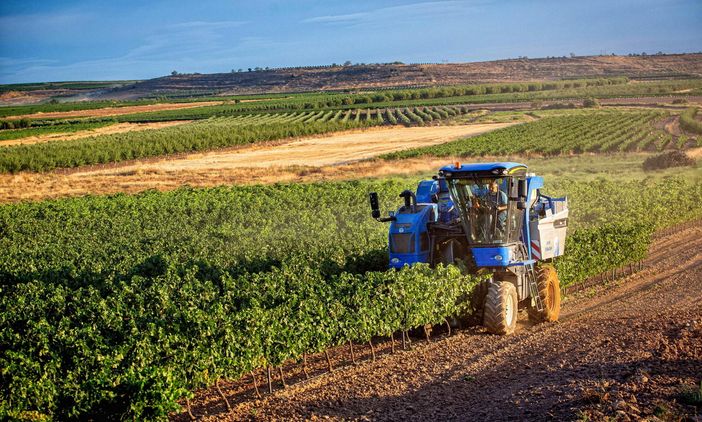 Milleproroghe: soddisfazione di Confagricoltura per gli emendamenti a favore del settore primario Milleproroghe: soddisfazione di Confagricoltura per gli emendamenti a favore del settore primario