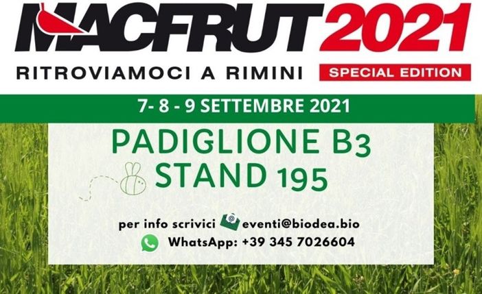 Come preservare i frutteti a fine raccolto Come preservare i frutteti a fine raccolto