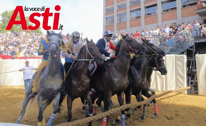 Ph. Merfephoto - Efrem Zanchettin, le restanti immagini sono di Alessandro Franco Ph. Merfephoto - Efrem Zanchettin, le restanti immagini sono di Alessandro Franco