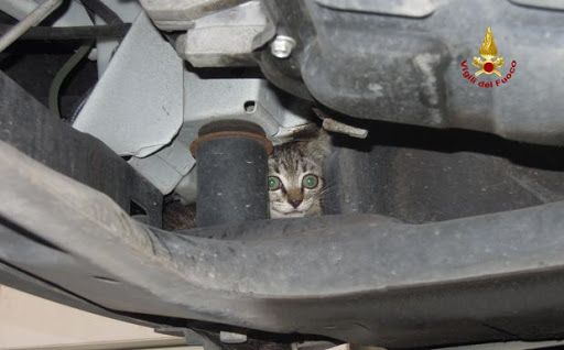 Immagine generica d'archivio, non correlata allo specifico episodio