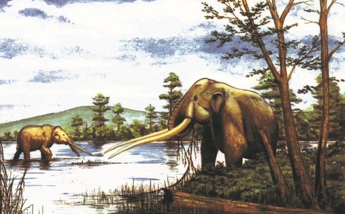 Mastodonte del Villafranchiano