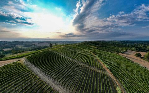 Nuove esperienze turistiche per tutti i gusti in Langhe Monferrato Roero