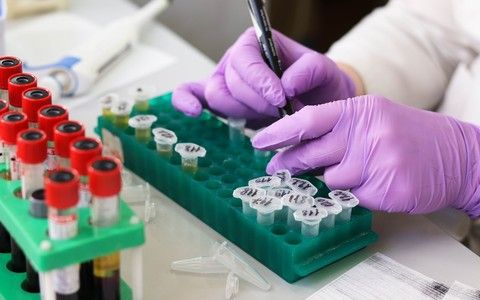 Covid, il focus settimanale della Regione Piemonte: andamento stazionario