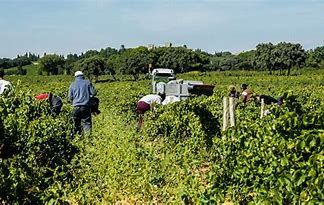 Click-Day in overbooking: La domanda di lavoratori stranieri supera la disponibilità Click-Day in overbooking: La domanda di lavoratori stranieri supera la disponibilità