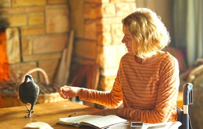 Al Lumière di Asti il film 'Penguin Bloom', la storia vera che ha emozionato il mondo Al Lumière di Asti il film 'Penguin Bloom', la storia vera che ha emozionato il mondo