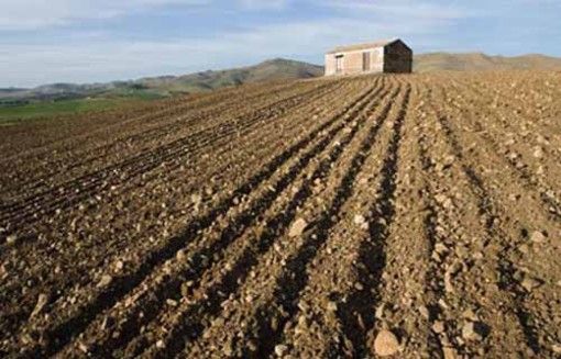 Inail, in Piemonte oltre 10 milioni di euro per la sicurezza nelle piccole aziende agricole Inail, in Piemonte oltre 10 milioni di euro per la sicurezza nelle piccole aziende agricole