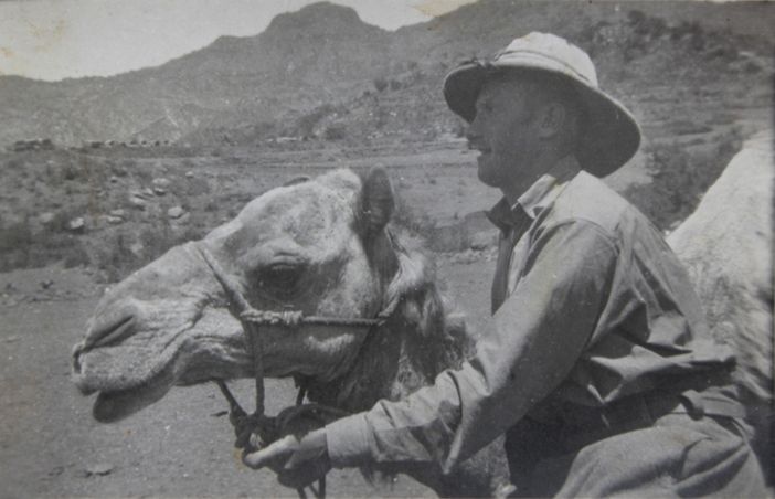 Scagliola sul dromedario nella guerra d'Africa