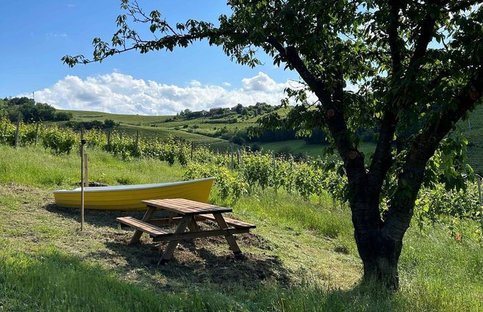 Una delle sette barche tra le vigne di Castelletto Molina