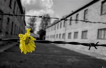 Asti avrà una nuova via intitolata ad un'illustre astigiana, Enrica Jona Asti avrà una nuova via intitolata ad un'illustre astigiana, Enrica Jona