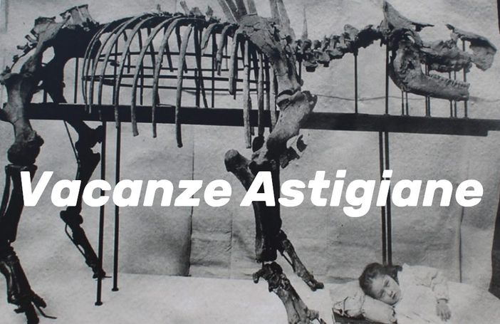 Il rinoceronte ritrovato a Dusino San Michele, custodito al Museo Regionale di Scienze Naturali di Torino