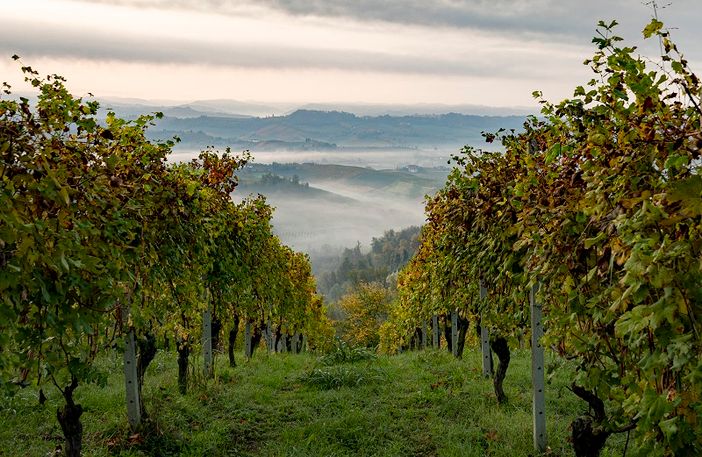 Il Turismo 'fa i conti' con il Covid: "I prossimi due anni saranno dedicati a sopravvivere, poi puntare su Olimpiadi e Atp" Il Turismo 'fa i conti' con il Covid: "I prossimi due anni saranno dedicati a sopravvivere, poi puntare su Olimpiadi e Atp"
