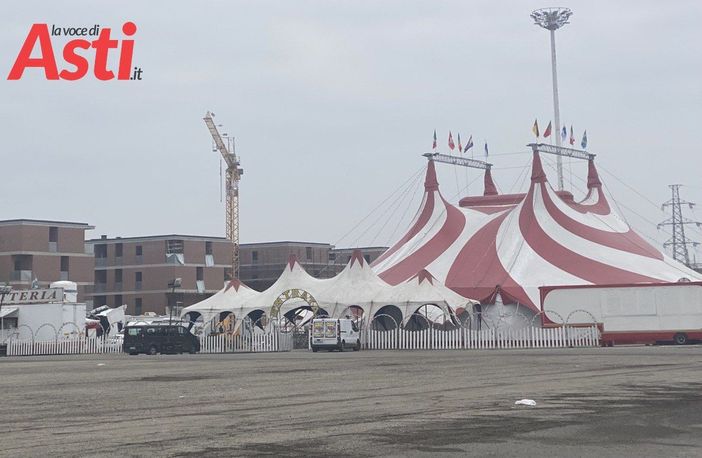 Caso circo Medini, interviene Europa Verde Piemonte: "Ci dissociamo. Attaccare i singoli operatori non serve ad accelerare l'iter legislativo" Caso circo Medini, interviene Europa Verde Piemonte: "Ci dissociamo. Attaccare i singoli operatori non serve ad accelerare l'iter legislativo"