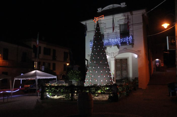 Albero di Scurzolengo