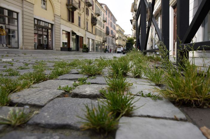 Entrambe le immagini sono state realizzate da Giulio Morra Entrambe le immagini sono state realizzate da Giulio Morra