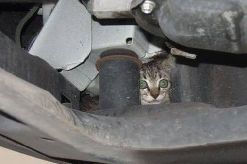 Immagine generica d'archivio, non riferita allo specifico episodio Immagine generica d'archivio, non riferita allo specifico episodio