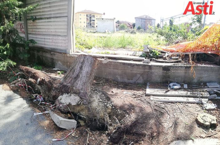 In zona parcheggio Babilano, ancora i resti del maltempo del 1 agosto. Una segnalazione mette in evidenza una decisa incuria della zona [FOTO]
