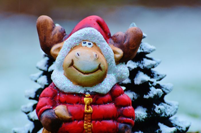 Canelli: tutte le iniziative per festeggiare il Natale Canelli: tutte le iniziative per festeggiare il Natale